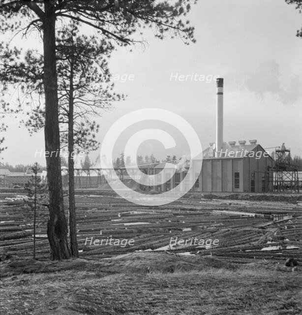 The new Gilchrist mill, open a week - lumber mill, Gilchrist, Oregon, 1939. Creator: Dorothea Lange.