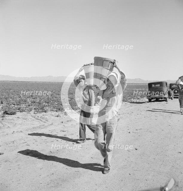 Pea pickers coming in to the weigh master, Sinclair Ranch, near Calipatria, California, 1939. Creator: Dorothea Lange.