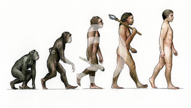 Evolution of ManArtist: Karen Humpage