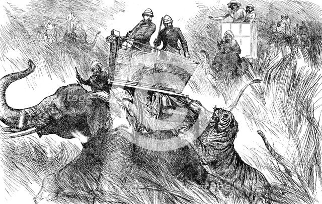Edward, Prince of Wales, hunting tiger during his state visit to India in 1876. Artist: Unknown