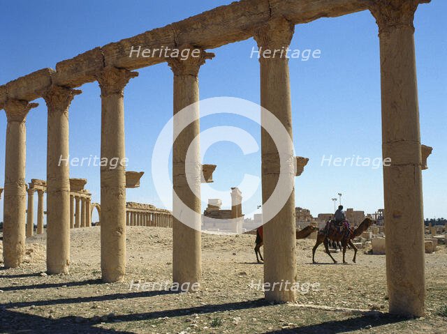 Colonnade, ruins of Palmyra, Syria, 3rd century (2001).  Creator: LTL.
