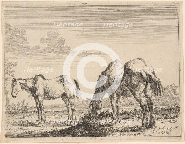 Two Grazing Horses, 1651. Creator: Dirck Stoop.