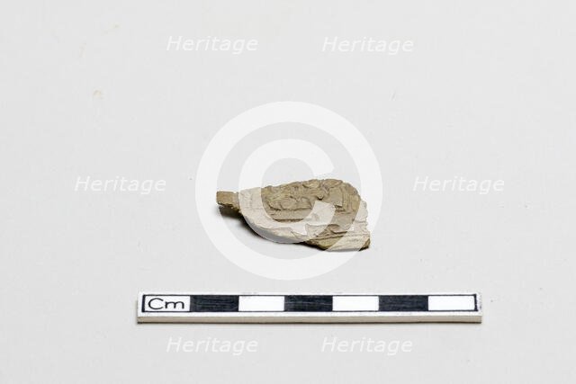 Bone, decorated fragment, Shang dynasty, ca. 1600 - ca. 1050 BCE. Creator: Unknown.