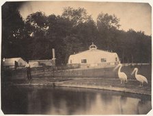 [The Pelicans and Greenhouses, Zoological Gardens, Brussels], 1854-56. Creator: Louis-Pierre-Théophile Dubois de Nehaut.