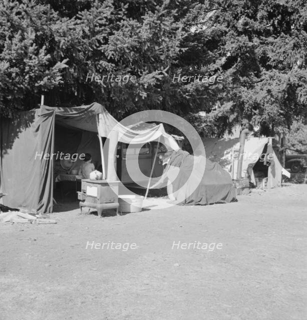 Camp representative of fourteen in group, near West Stayton, Marion County, Oregon, 1939. Creator: Dorothea Lange.