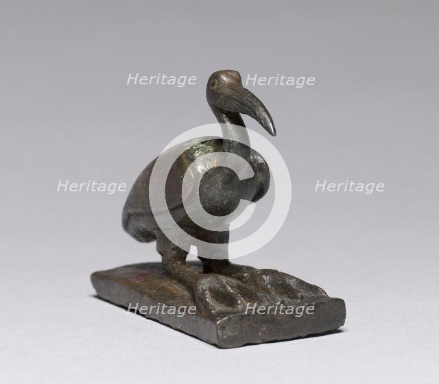Ibis, 664-30 BC. Creator: Unknown.