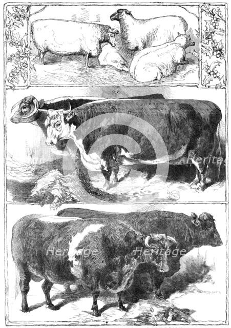 Prize animals of the Smithfield Club Cattle Show, 1860. Creator: Unknown.