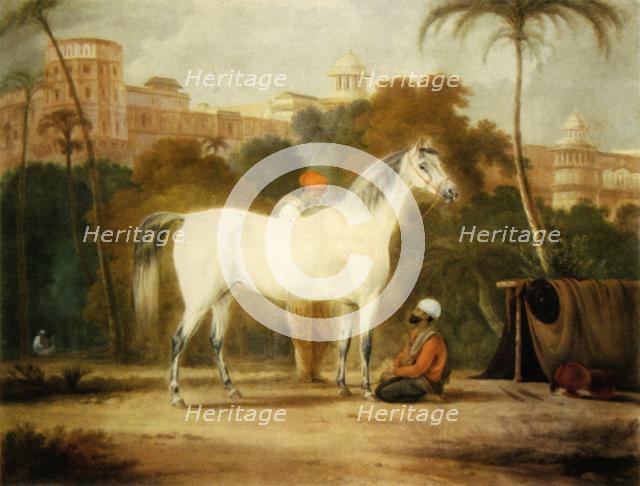 'Charles II's Royal Mare', c1685, (1944).  Creator: Johann Christof Sartorius.