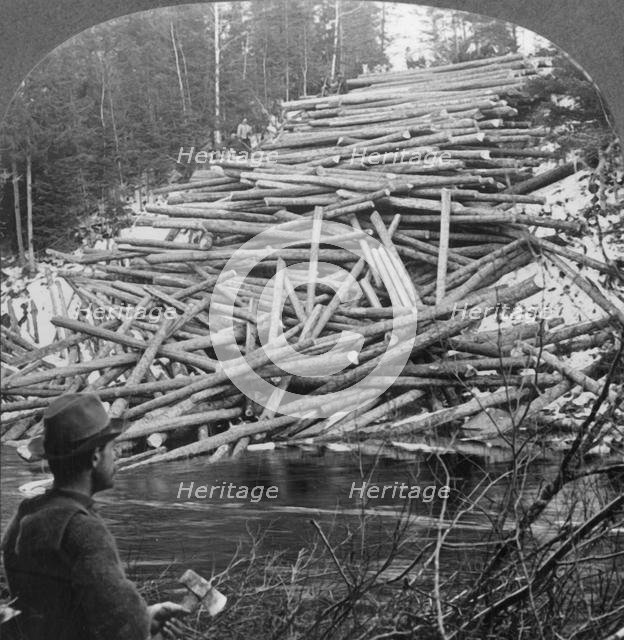 'Logs from the Forest Delivered at the Stream, Aroostook County, Me.', c1930s. Creator: Unknown.