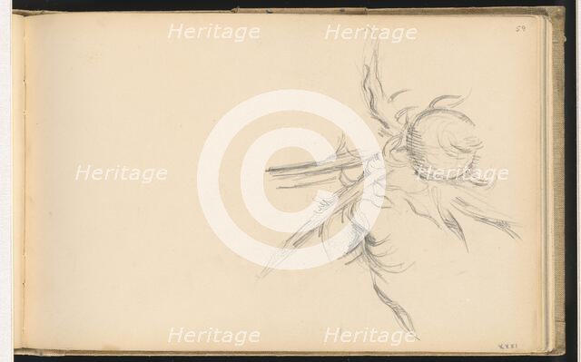 Thistle, 1893/1896. Creator: Paul Cezanne.