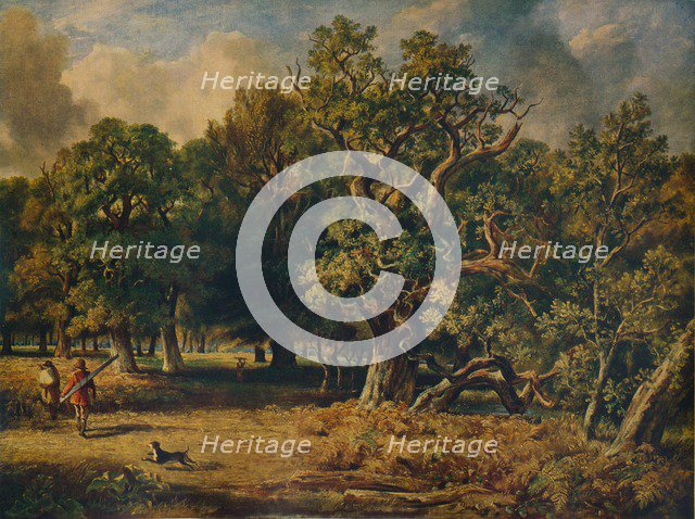 'Windsor Forest', c1835. Artist: James Stark.