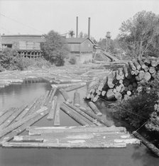 Small sawmill on the Marys River near Corvallis, Oregon, 1939. Creator: Dorothea Lange.