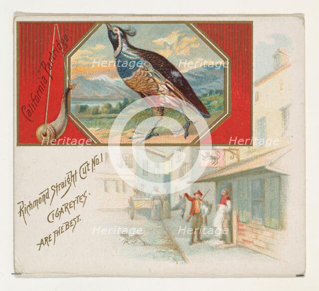 California Partridge, from the Game Birds series (N40) for Allen & Ginter Cigarettes, 1888-90. Creator: Allen & Ginter.