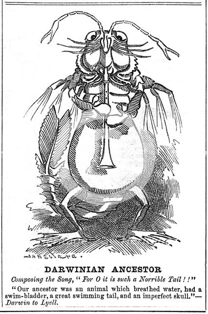 'Darwinian Ancestor', 1887. Artist: George du Maurier