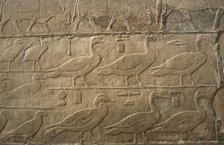 Relief showing ducks and birds, Mastaba of Ti, Egypt, 5th Dynasty, Old Kingdom, c2400 BC (2003). Creator: Unknown.