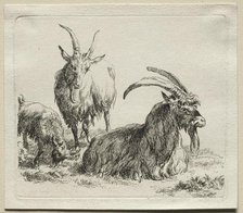 Three Goats. Creator: Nicolaes Berchem (Dutch, 1620-1683).