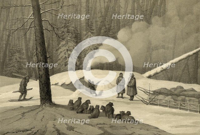 Overnight in the Forest (in the Northern Forests), 1856. Creator: Ivan Dem'ianovich Bulychev.