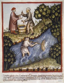 Lampreys, 14th century.  Creator: Unknown.