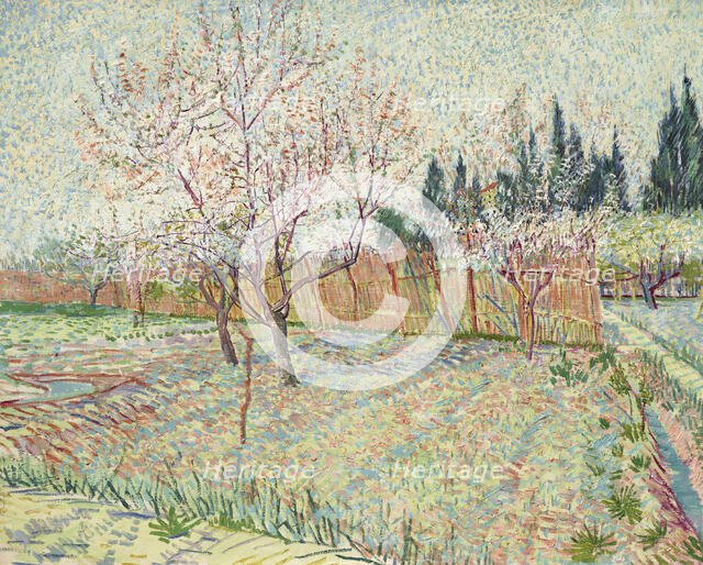Orchard with cypresses, 1888. Creator: Gogh, Vincent, van (1853-1890).