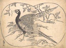 Pheasants. Creator: Hishikawa Moronobu.
