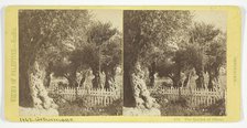 The Garden of Olives, Jerusalem, 1860/85. Creator: Felix Bonfils.