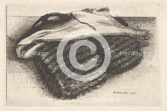 Muff, white kerchief and mask, 1642. Creator: Wenceslaus Hollar.