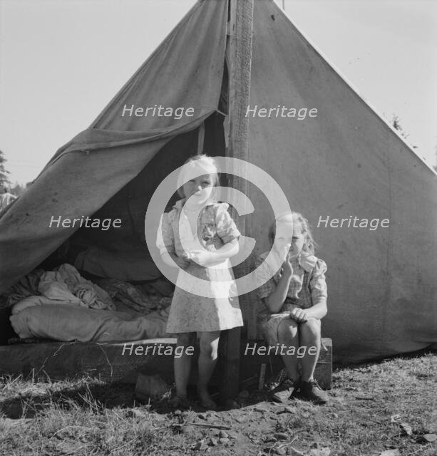 Possibly: Bean pickers' camp in grower's yard, near West Stayton, Marion County, Oregon, 1939. Creator: Dorothea Lange.