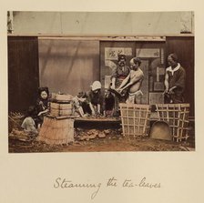 Steaming the Tea Leaves, about 1873-1883. Creator: Shinichi Suzuki I.