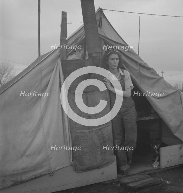 From Wyoming and Missouri eight years...working in lemons..., near Strathmore, CA, 1939. Creator: Dorothea Lange.