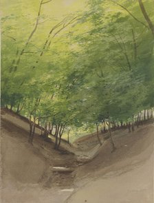 Course of a stream in a forest, 1855. Creator: Carl Theodor Reiffenstein.