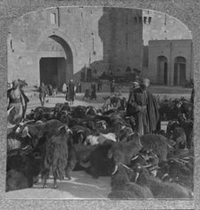 'Buying goats at the Damascus Gate, Jerusalem', c1900. Artist: Unknown.