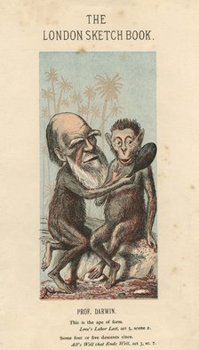 Charles Darwin, English naturalist, 1874. Artist: Unknown