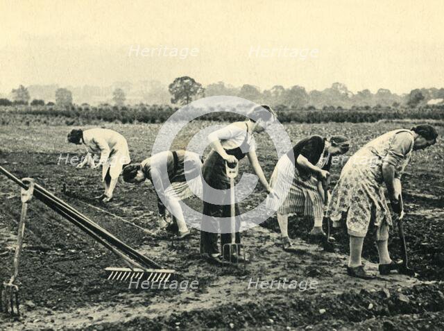 'Digging and Planting', 1943. Creator: Unknown.