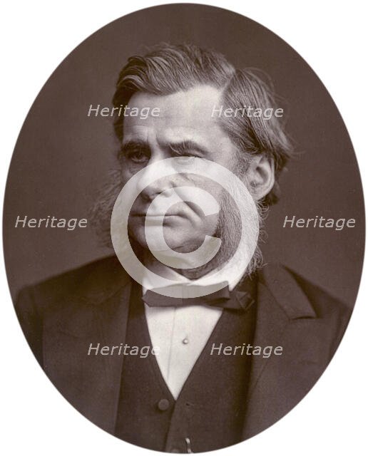 Professor Thomas Henry Huxley, 1880. Creator: Lock & Whitfield.