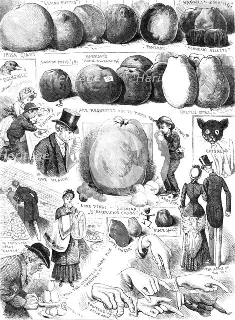 Sketches at the Apple Congress at Chiswick, 1883. Creator: Unknown.