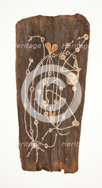 Bark Painting, 1900. Creator: Paddy Compass Namatbara.