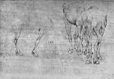 'Studies of Horses Grazing', c1480 (1945). Artist: Leonardo da Vinci.
