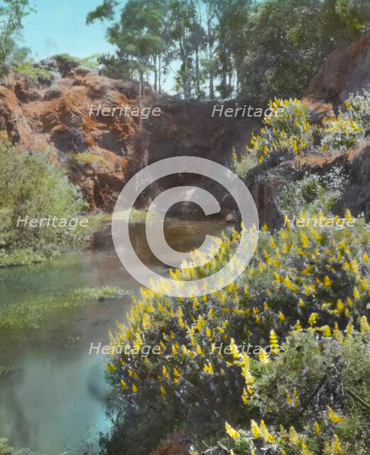 "El Fureidis," James Waldron Gillespie house, Parra Grande Lane, Montecito, California, 1917. Creator: Frances Benjamin Johnston.