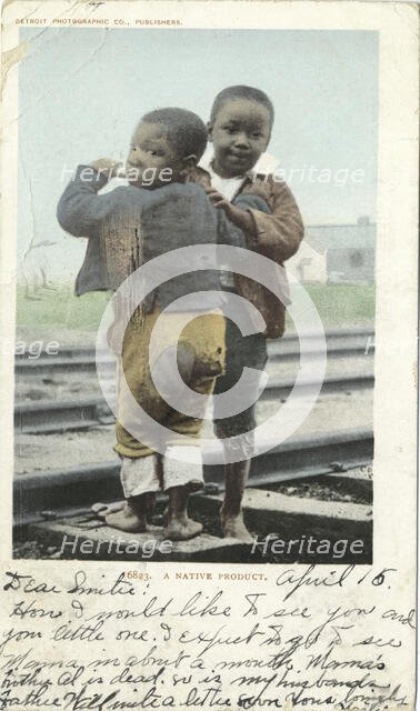 A Native Product, 1902 - 1903. Creator: Detroit Publishing Company.