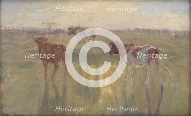 Cattle Seen against the Sun on the Island of Saltholm, 1892. Creator: Theodor Esbern Philipsen.