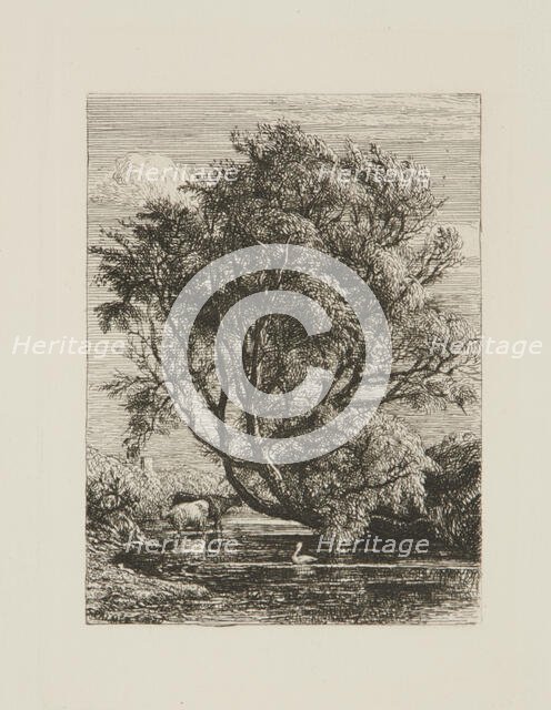 The Willow, 1850. Creator: Samuel Palmer.