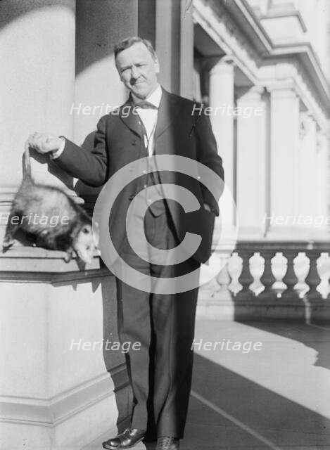 Daniels, Josephus, Secretary of The Navy, 1913-1921. with An Opossum, 1913. Creator: Harris & Ewing.