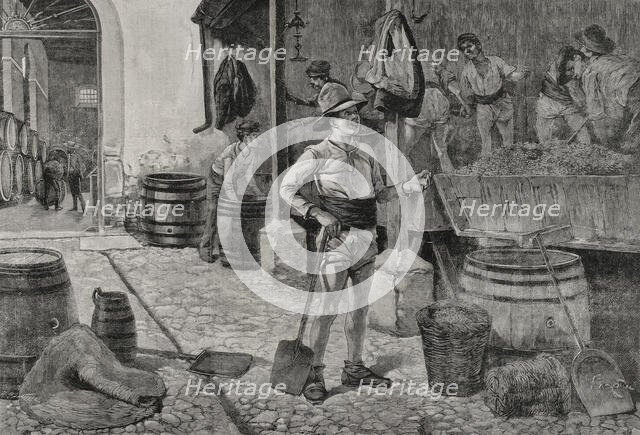 The grape harvest in Jerez, Andalusia, Spain, 1898.  Creator: Arturo Carretero y Sánchez.