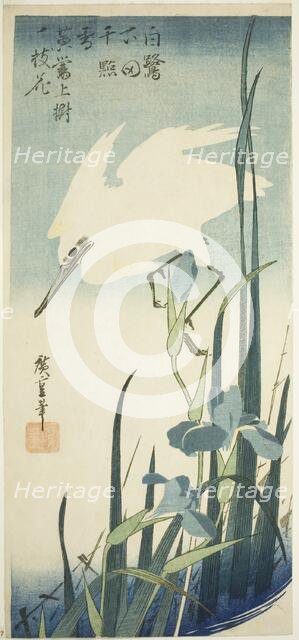 White heron and iris, c. 1832/34. Creator: Ando Hiroshige.