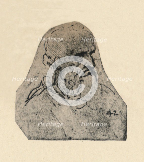 'Head of an Old Man Turned to the Right', c1480 (1945). Artist: Leonardo da Vinci.