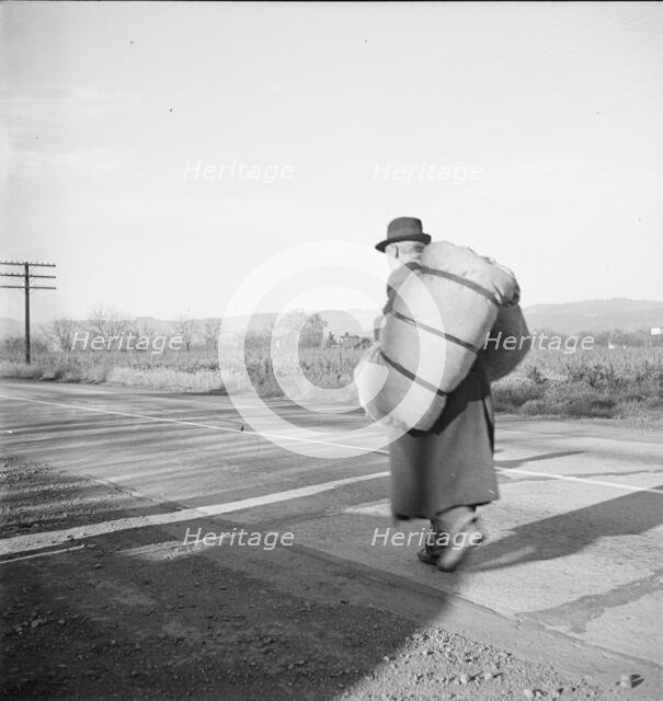 More than twenty-five years a bindle-stiff..., Napa Valley, California, 1938. Creator: Dorothea Lange.