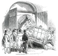 The Annual Exhibition of the Smithfield Club - Carting away a Pig, 1850. Creator: Unknown.