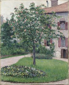 Tree in Blossom, 1882. Creator: Caillebotte, Gustave (1848-1894).