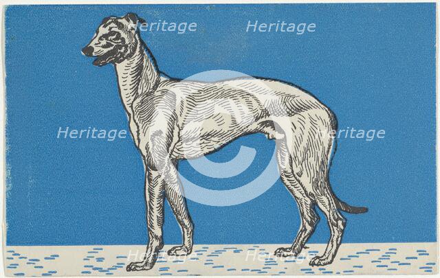 Greyhound, 1912. Creator: Moritz Jung.