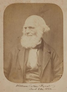William Cullen Bryant, 1860. Creator: Rintoul & Rockwood.